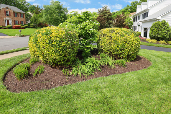 Front Garden Bed