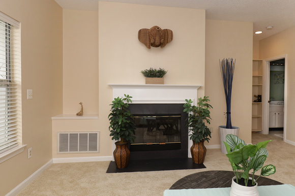 Gas Fireplace