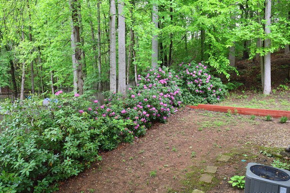 View from Porch