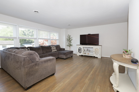 Living Room - 1