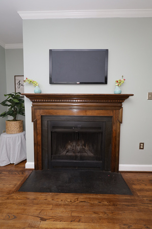 Living Room Fireplace