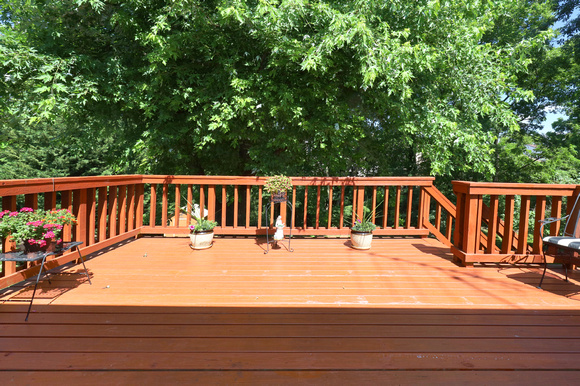 Deck - 1