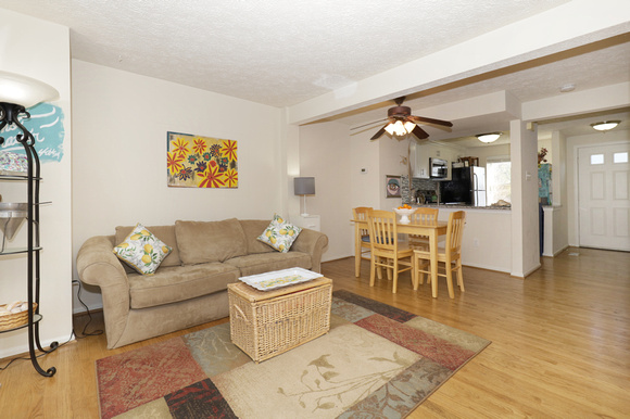 Living Room - 4